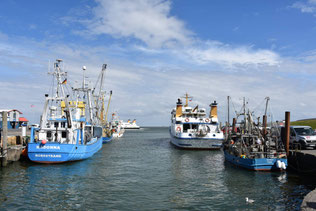 Hafen Strucklahnungshörn