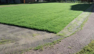 Unsere Leistungen von A bis Z - H. Martin Jöns GmbH Drelsdorf