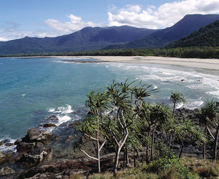 Strand im Urwald von Australien