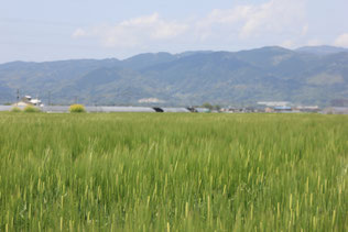 くもりぞら
