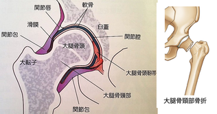 http://kompas.hosp.keio.ac.jp/contents/000175.html