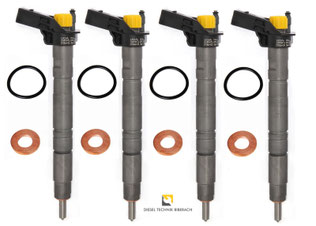 SET INJEKTOREN UND PUMPE - Injektor Prüfung Instandsetzung Reinigung
