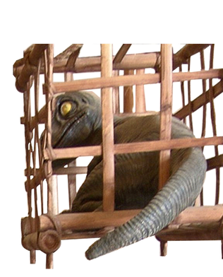 Decoración temática de dinosaurios | Figuras de dinosaurios | Réplicas