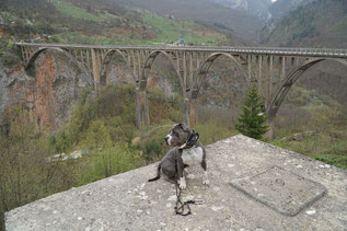 Am Tara Brücke , mußte der Sancho Model stehen.
