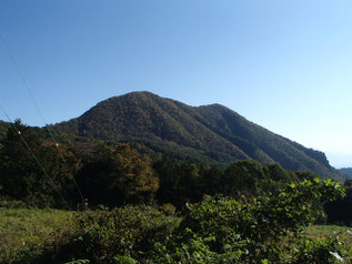 山梨百名山　登山　ガイド