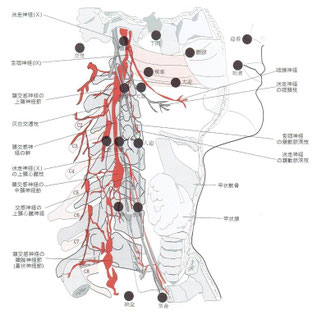 この図を見ると、翳風、天牖、扶突が重要です。