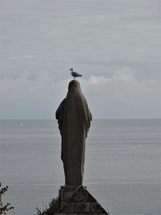 photo Franck Dassonville