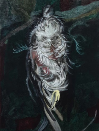 Toter Vogel, 2025, Öl auf Leinwand, 35x27 cm