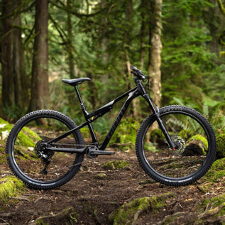 Mit dem klassischen Fahrrad ohne e-Unterstützung durch den Wald