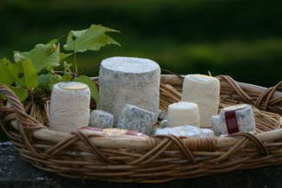 Camping Gers Arros - Fromage Chevre qui rit