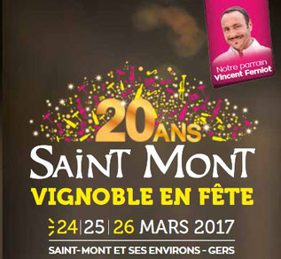 Vin Saint Mont en Fete 20 ans - Camping Gers Arros