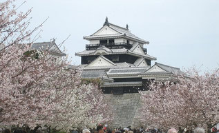 （一社）愛媛県観光物産協会