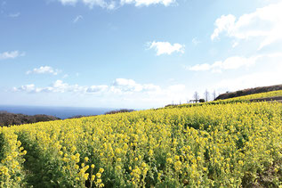 ©あわじ花さじき