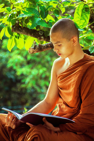 Jeune moine bouddhiste lit un livre sous un arbre