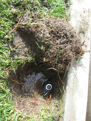 Hiring an irrigation company vs. DIY