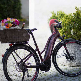 Trekking e-Bikes und Pedelecs in der e-motion e-Bike Welt in Gießen