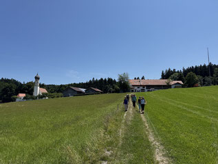 Foto von Wanderung über eine Wiese nach Einkehr in Fischbach
