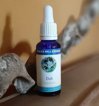30ml - CHF 33.00