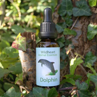 30ml - CHF 28.00