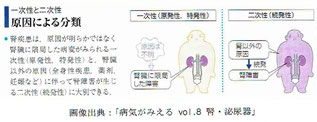 「病気がみえる vol8. 腎・泌尿器」より