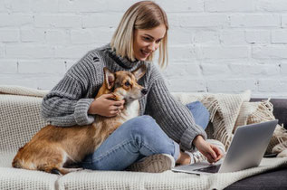 Frau sitzt mit braun-weißem Hund auf grauem Sofa, Blick und linke Hand auf geöffnetem grauem Laptop.