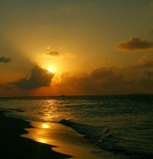 Sunset gazing in the Maldives should be on everybody's bucket list! Dante Harker