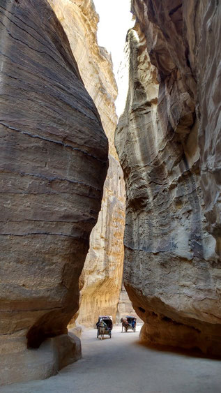 Enormous canyons snake their way through Petra, Jordan. Dante Harker