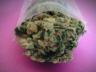 Trockene Cannabis Blüte