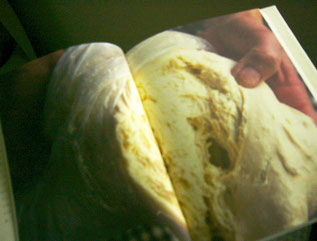 水と小麦だけのパン種でつくる酵母パン