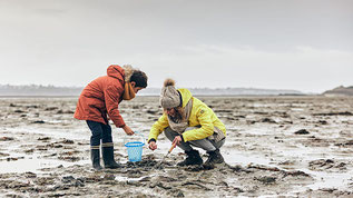 dictée sur la mer cm1 pêche à pied