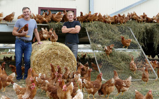 Eckhardt Eisenach bei Legehennen