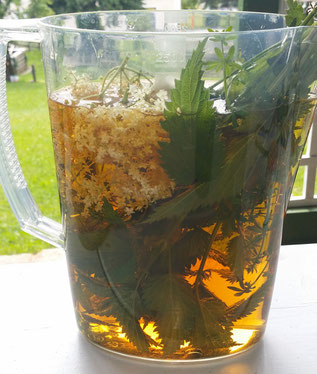 Wildkräuterlimonade einfach und schnell selbst hergestellt