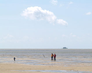 Watt wandern