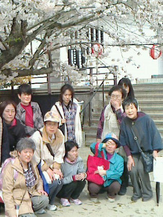 桜の花がとても綺麗です。