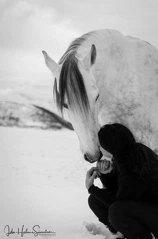 Im Moment sein..... www.equidemia.com