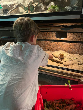 Twee meiden die een meeloopochtend bij stichting carnivora hebben gevolgd en samen op de foto staan met een schildpad en koningspython
