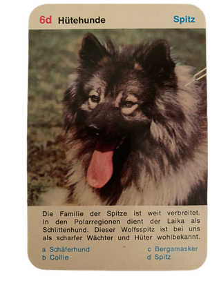 Wolfsspitz German Spitz Keeshond herding dog cattle cow pig