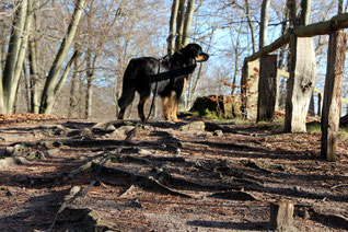 Leon schaut auf den See herab