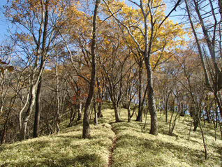 太刀岡山　曲岳　縦走　登山　ガイド