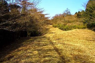 最古の京鎌倉往還「湯坂路」
