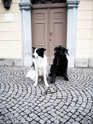 Schillers Wohnhaus. Nur einen kurzen Spaziergang von Goethe entfernt