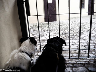Blick in den Hof des Goethehauses.