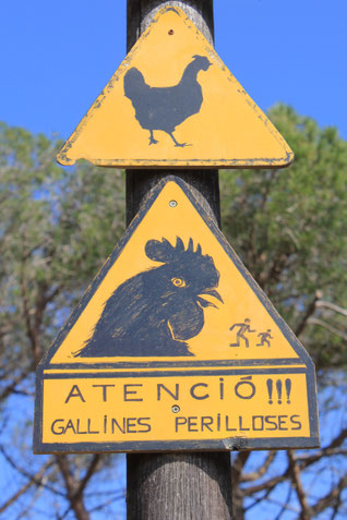 photo Franck Dassonville