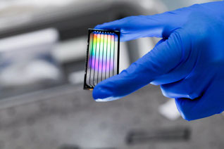 Cot I DNA, Mikroarray Anwendungen, komparative genomische Hybridisierung (CGH), Karyotyping , In-Situ Hybridisierung