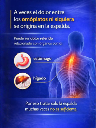 Dolores referidos e irradiados columna vertebral