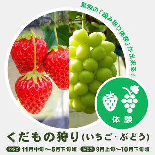 岡山でくだもの狩り いちご狩りなら 岡山フルーツ農園 岡山でくだもの狩り いちご狩りなら 岡山フルーツ農園