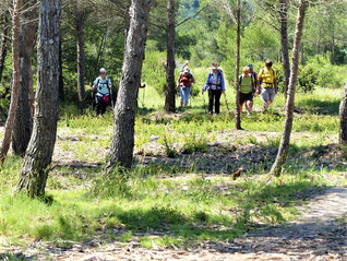 Figuerollles, Cadéraou, Massane : 31 mai 2020