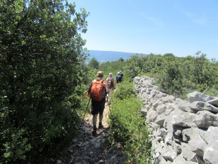 Longer le mur de la Peste