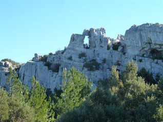 Le Mont Cruvelier, le Brigou (Ste Baume) : 17/01/2016