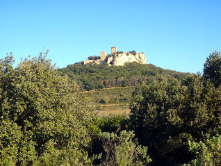 Château de Gicon